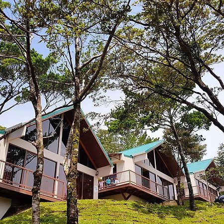 Green Forest Rustic Houses Monteverde Bagian luar foto