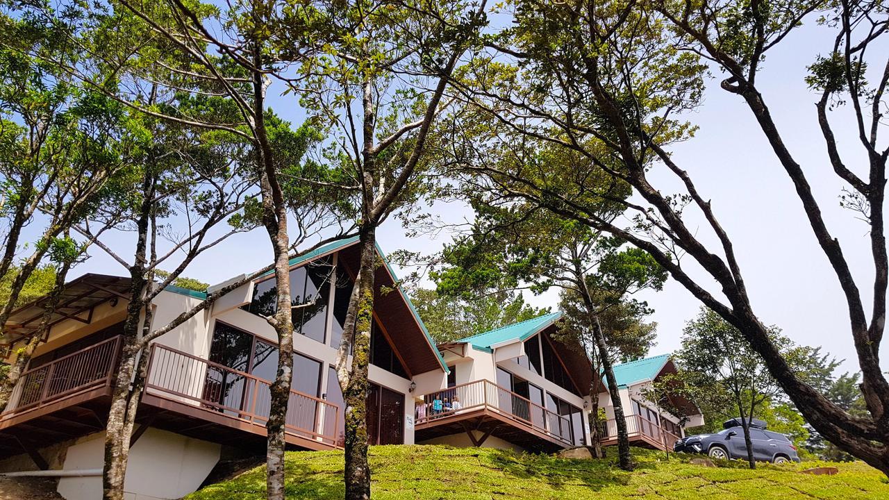 Green Forest Rustic Houses Monteverde Bagian luar foto